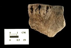 Shepard rim sherd with lug, from Biggs Ford site 18FR14/1.